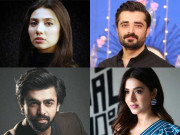 دہلی مسلم کش فسادات پر پاکستانی فنکاروں کا اظہارافسوس
