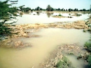 کوٹری بیراج کی نہریں بند لاکھوں ایکڑ رقبے پر فصلیں تباہ 