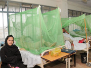 راولپنڈی میں ڈینگی بےقابو ہوگیا