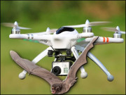 کیا ڈرون بھی چمگادڑ کی طرح آواز سے ’’دیکھ‘‘ سکیں گے