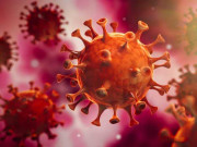 امریکا نے جارجیا میں مہلک وائرسز کی فیکٹری قائم کر رکھی ہے روسی  کا انکشاف