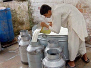 ملاوٹ و ناپ تول میں کمی