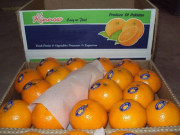 یورپ اور امریکا میں لاک ڈاؤن پاکستانی پھل و سبزیوں کی برآمدات میں نمایاں کمی