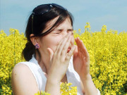 کورونا کے بعد اسلام آباد میں پولن الرجی نے سر اٹھانا شروع کر دیا