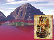 عصاء اور یدبیضاء