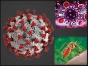 ارے یہ وائرس نہیں سازش ہے