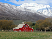 اوہ۔۔۔۔ الیکشن ہونے تھے 