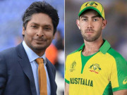 کمار سنگاکار اور گلین میکسوئل بھی قرنطینہ میں چلے گئے