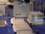 کورونابچاؤ کلوروکوئین ہائیڈروآکسی استعمال کی تجویزمسترد