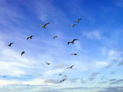 لاک ڈاؤن کے بعد فضائی آلودگی میں کمی ایئر انڈیکس میں بہتری