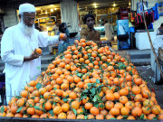 حکومت پنجاب کا کینو کی صنعت کو جدید بنانے کا فیصلہ