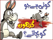 کوئی ہے جو گدھوں کو بچائے