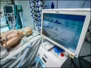 شاید اب ہتھیار ڈالنے کا وقت ہے