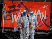 ووہان ماڈل سے کیا سبق سیکھا جائے