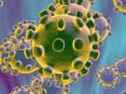 کورونا کا دوسرا مرحلہ بگڑتا نظرآرہا ہے پروفیسررفیق خانانی