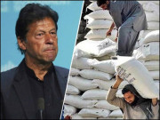 کیا سرکاری آٹا خراب ہے