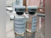 پاکستانی سائنسدانوں نے کورونا کے علاج کے لیے گلوبیولن تیار کرلی