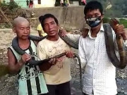 بھارت میں کھانے کے لیے چاول نہ ہونے پر شکاری زہریلا سانپ کھا گئے