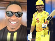 براوو نے دھونی سے متعلق اپنے گانے کی پہلی جھلک جاری کردی