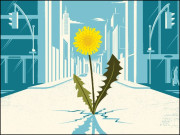 کورونا کورونا آلودگی کے بغیر جینا