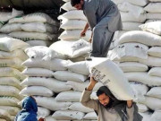 چینی اسکینڈل سے متعلق ایف آئی اے کے فرانزک ڈیٹا میں خورد برد کا انکشاف