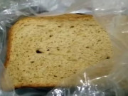 آرگینک لیکویڈ پروٹوکول کے ذریعے حاصل کم گلوٹن والی گندم سے بریڈ بنانےکا کام شروع