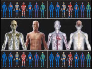 انسانی جسم  قدرت الہی کا عظیم الشان معجزہ