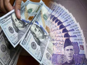 روپے کے مقابلے میں ڈالر کی تنزلی کا رجحان جاری