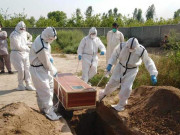 ملک میں کورونا کے مریضوں کی تعداد 28 ہزار736 ہوگئی 636 جاں بحق