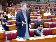قومی اسمبلی اجلاس ٹائیگر فورس بنی تو اس کا کام جنازے اٹھانا ہوگا شاہد خاقان