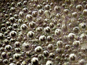  گرم پانی جلدی برف میں کیوں تبدیل ہو جاتا ہے