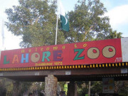 عید پر لاہورچڑیا گھر کی بندش سے ڈیڑھ کروڑ کا خسارہ