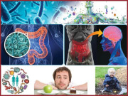 وائرس وبیکٹیریا ہمارے دوست بھی ہیں