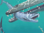 پاکستان میں ’چڑیل مچھلی‘ کی باقیات دریافت