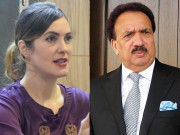 امریکی خاتون کا سابق وزیر داخلہ رحمن ملک پر زیادتی کا الزام