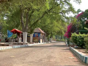 لاک ڈاؤن کے باعث کراچی چڑیا گھر شدید مالی بحران کا شکار