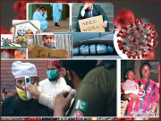 اہم معاشی اہداف سیاست اور ٹڈی دل