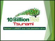 10 بلین ٹری منصوبہ کے ذریعے 84 ہزار 609 افراد کو ملازمتیں فراہم