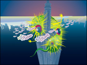 ہر قسم کے بیکٹیریا مارنے کےلیے ’زہریلے تیر‘ جیسی اینٹی بایوٹک تیار