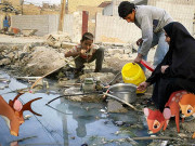 عراقی فنکار نے تباہ حال ملک کے مسائل مشہور کارٹون کرداروں کے ساتھ پیش کردیئے