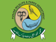 محکمہ جنگلی حیات پنجاب کا اعزازی گیم وارڈن سے ناروا سلوک