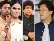 پٹرول کی قیمت میں اضافہ فنکار وزیراعظم عمران خان پر برس پڑے