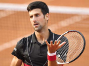 نووک جوکووک کا قصور سربیا کی وزیراعظم نے اپنے سر لے لیا