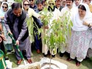 پنجاب میں 10 بلین ٹری منصوبہ فنڈز نہ ملنے کی وجہ سے تباہی کے دہانے پر پہنچ گیا