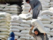 پنجاب میں آٹا بحران ٹل گیا فلورملز اور حکومت کے درمیان مذاکرات کامیاب