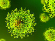 کورونا وائرس ہوا  کے ذریعے بھی پھیلتا ہے سیکڑوں ماہرین کا دعویٰ