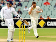 ایشز ٹرافیآسٹریلیا صرف ایک فتح کی دوری پر پہنچ گیا