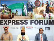 کورونا وائرس اورعیدالاضحی  عوام کو ذمہ داری کا مظاہرہ کرناہوگا