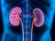 گردے اور مثانے کی تکالیف کا قدرتی علاج