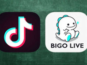 پاکستان میں بیگوایپ بند ’ٹک ٹاک‘ کوحتمی نوٹس جاری کرنے کا فیصلہ